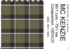 Kacey Field Shirt in Olive/Brown Plaid